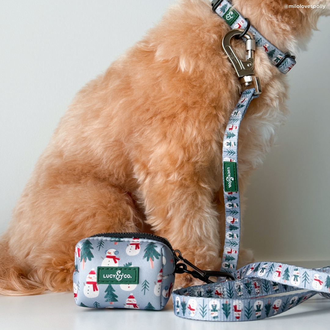 Snow Much Fun Poop Bag Holder