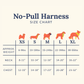 Appley Ever After Corduroy No-Pull Harness
