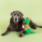 Fiesta T-Rex - Plush Dog Toy