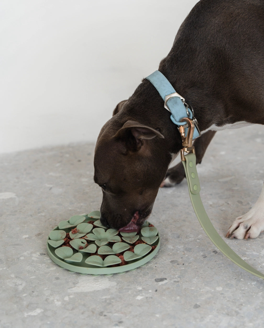 Sage Green Silicone Snuffle Mat