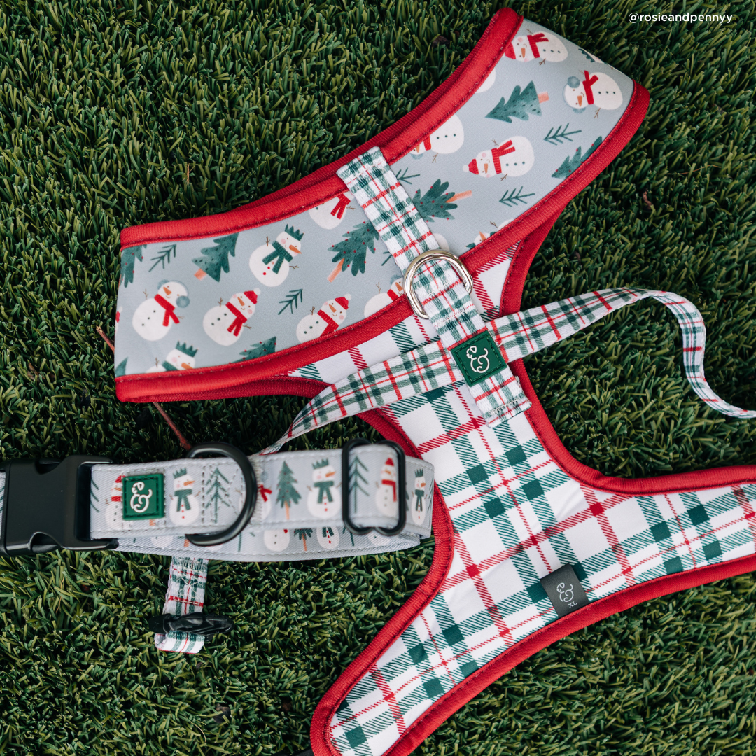 Snow Much Fun Reversible Harness