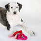 Interlocking Heart Rope Valentine Dog Toy