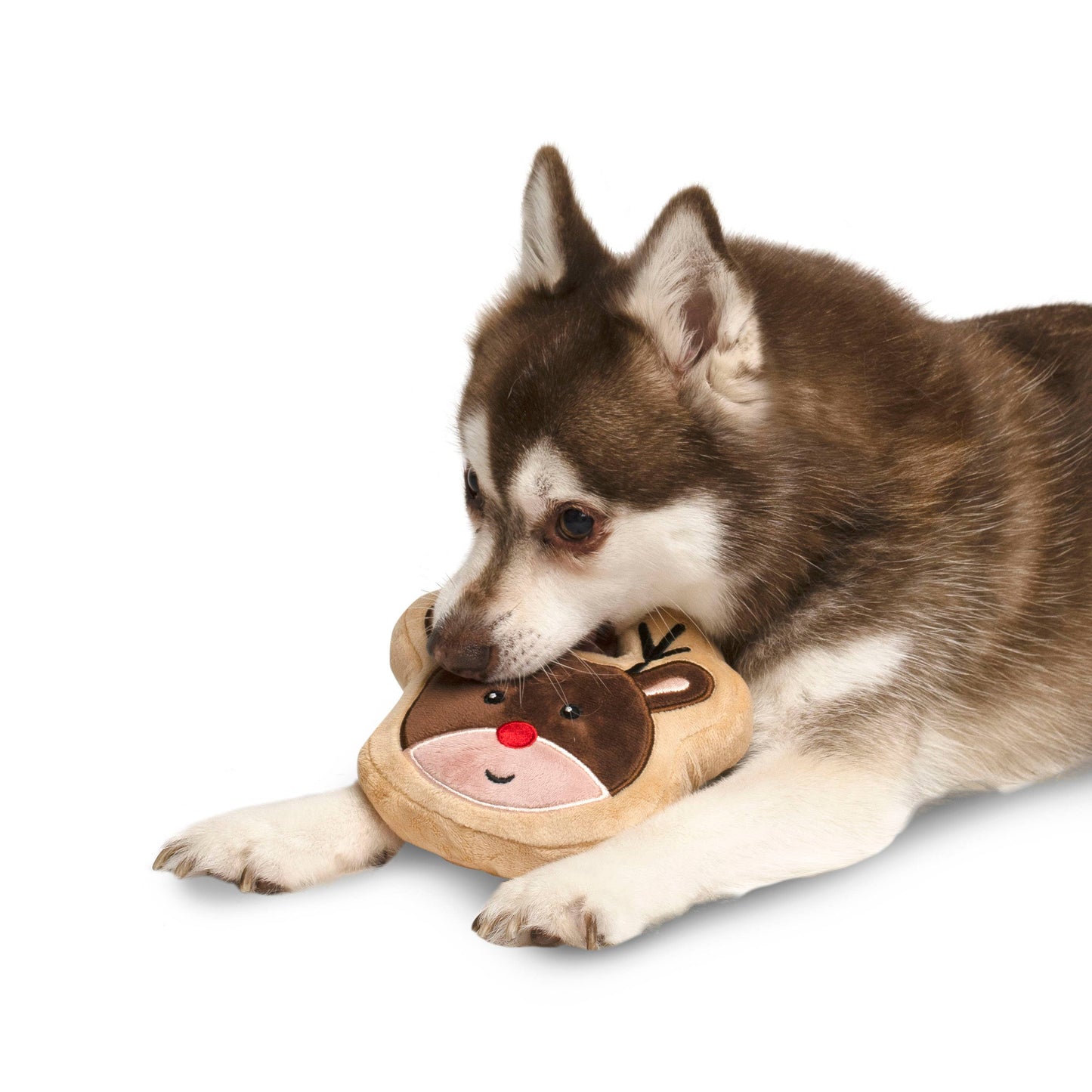 Reindeer Sugar Cookie Dog Toy