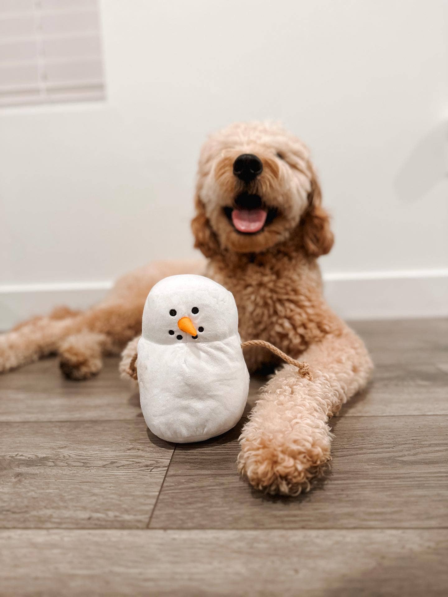 Marshmallow Snowman Rope & Plush Dog Toy