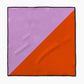 Bold Horizon Paw Towel