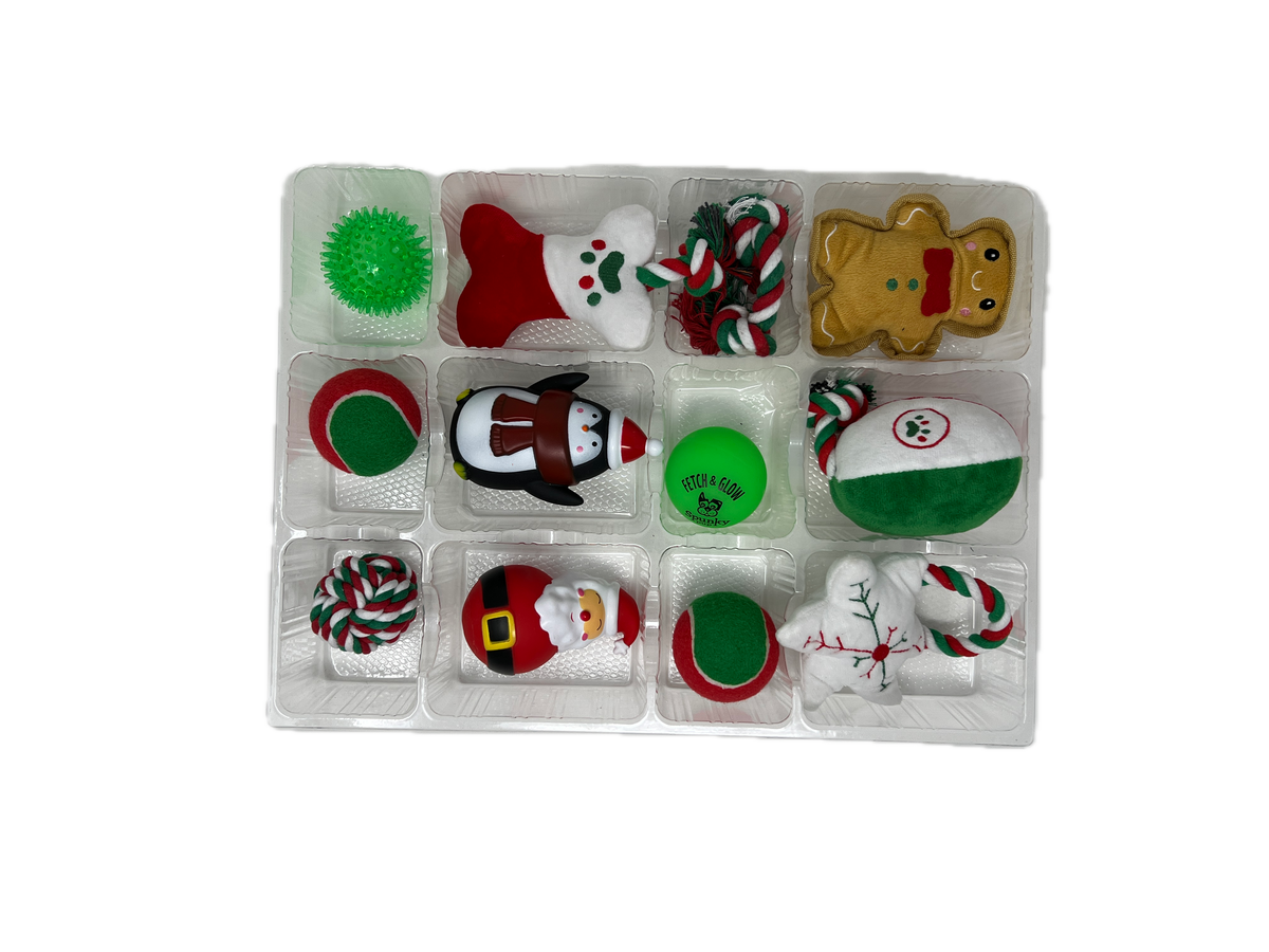 Advent Calendar - 12 Days of Toys