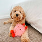Love Bug Valentine's Day Dog Toy