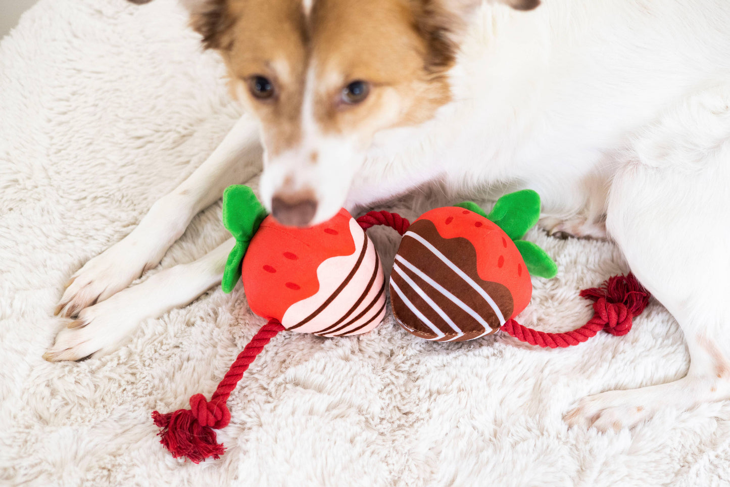 You’re Berry Cute Dog Toy