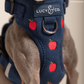Appley Ever After Corduroy No-Pull Harness