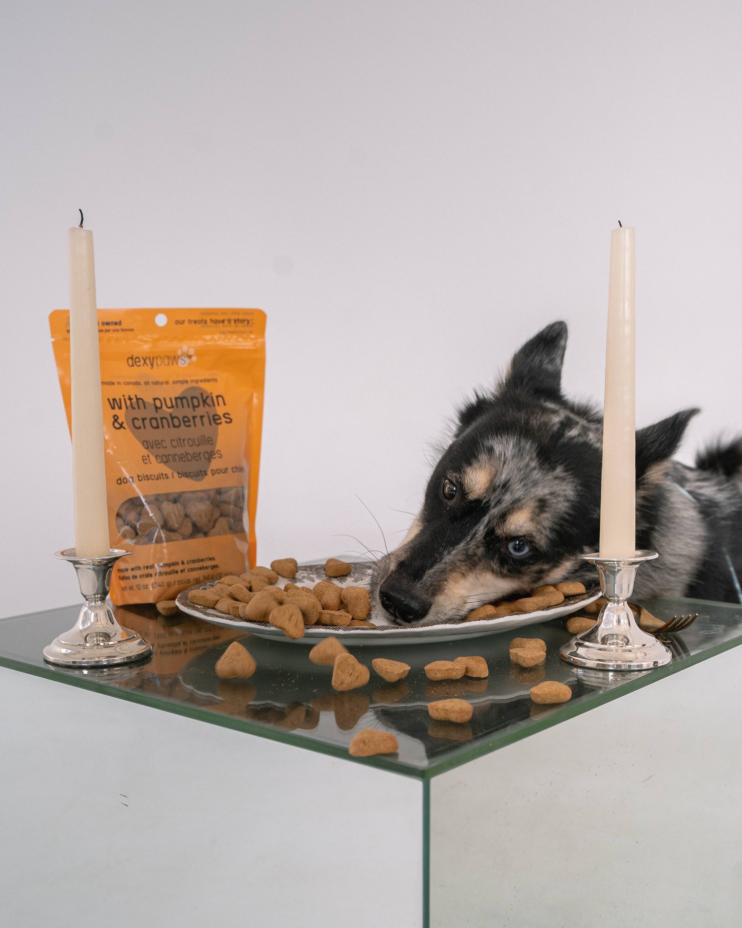 Pumpkin Dog Treats