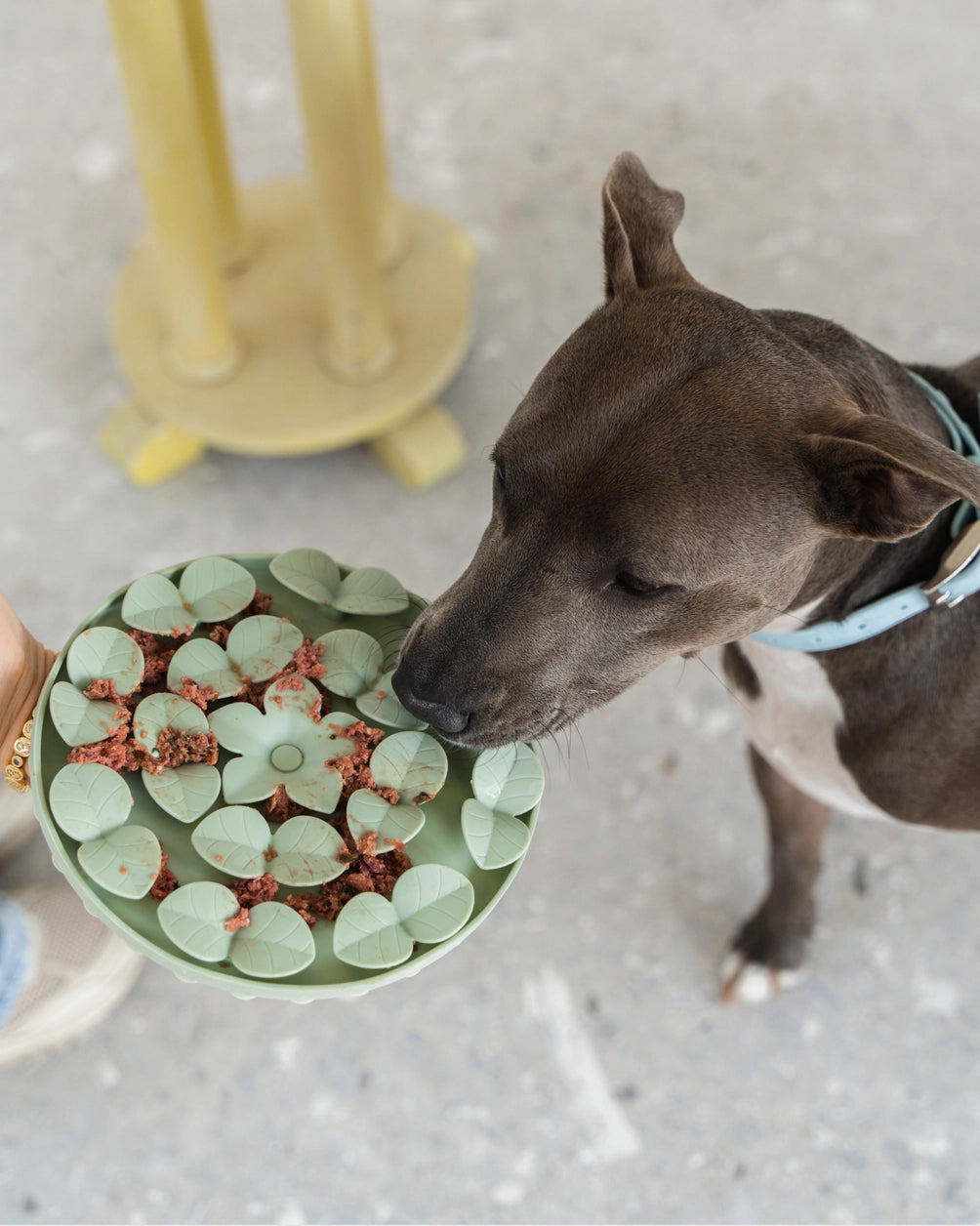 Sage Green Silicone Snuffle Mat