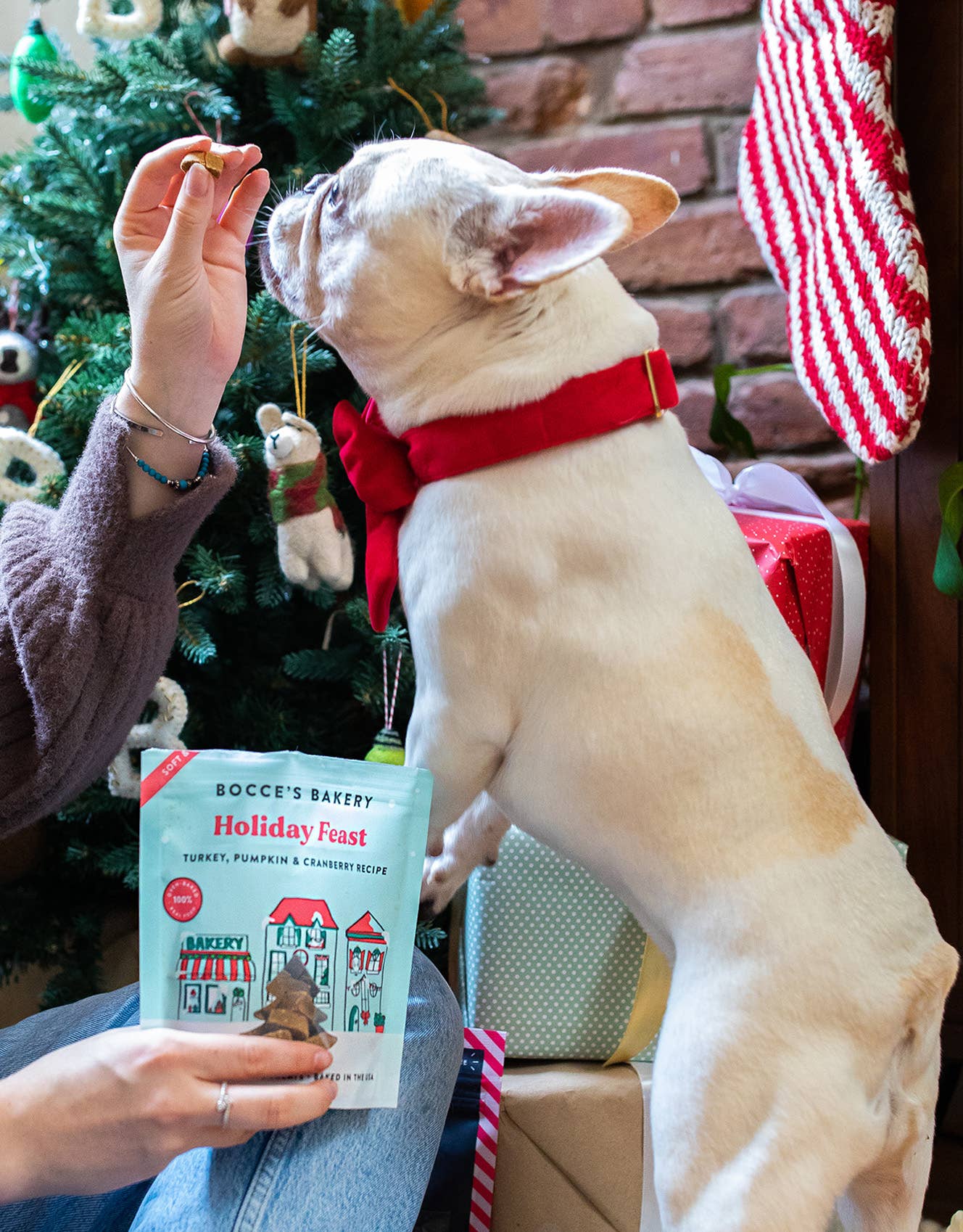 Holiday Feast Soft & Chewy Treats