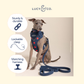 Appley Ever After Corduroy Leash