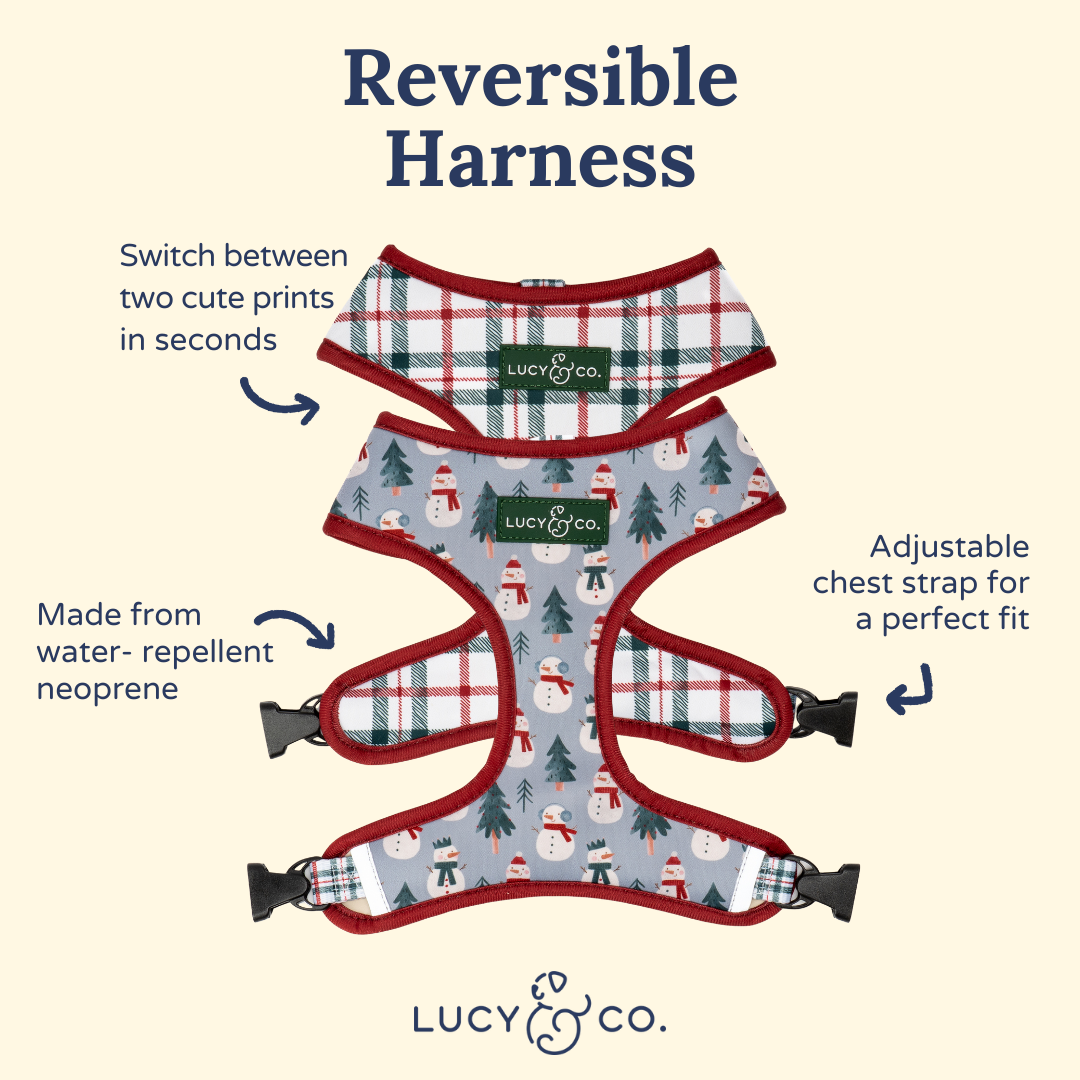 Snow Much Fun Reversible Harness