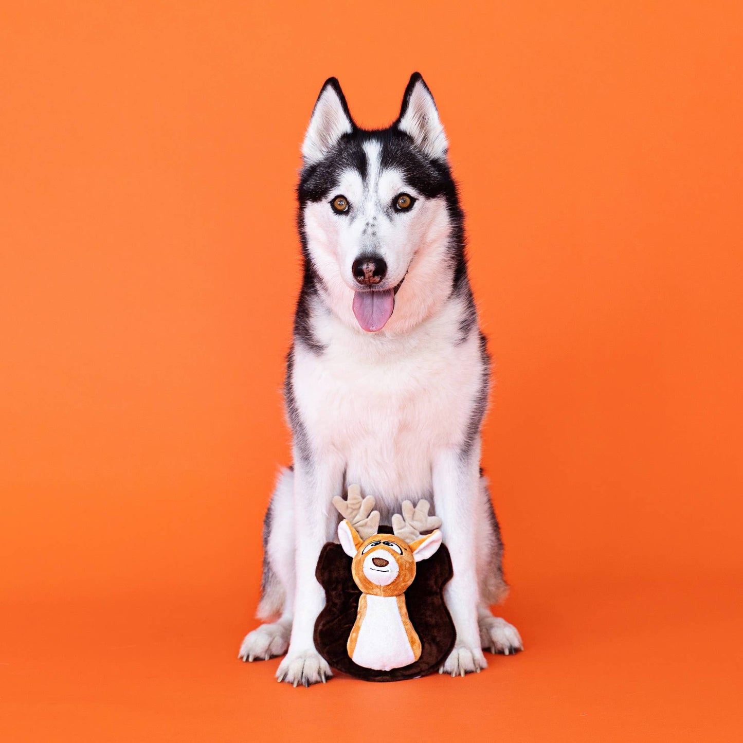 Oh Deer - Plush Dog Toy