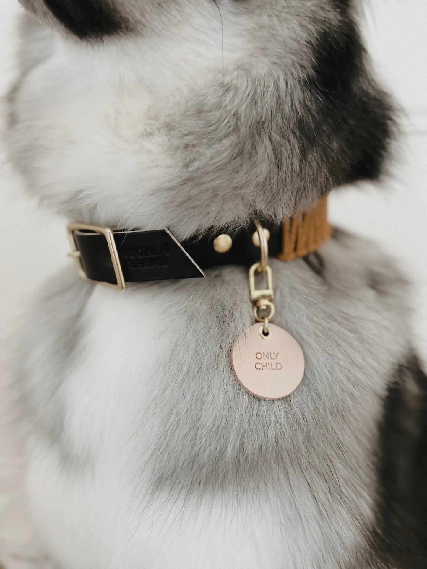 ‘Only Child’ Leather Pet Collar Charm