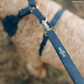 Appley Ever After Corduroy No-Pull Harness
