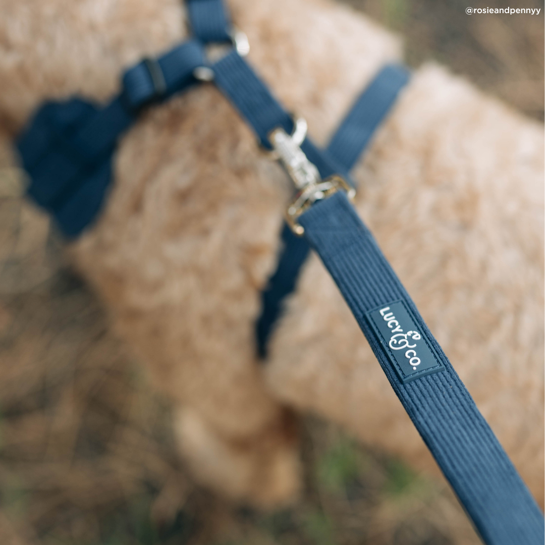 Appley Ever After Corduroy No-Pull Harness