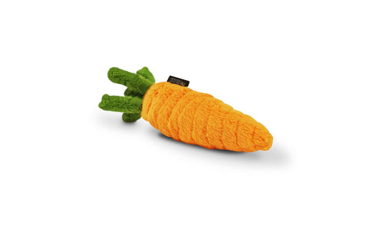 Garden Fresh Toy Carrot