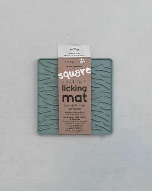 Square Textured Enrichment Licking Mat in Seafoam